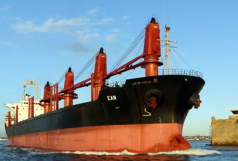 LENIENT Bulk Carrier IMO 9119074 photo 4