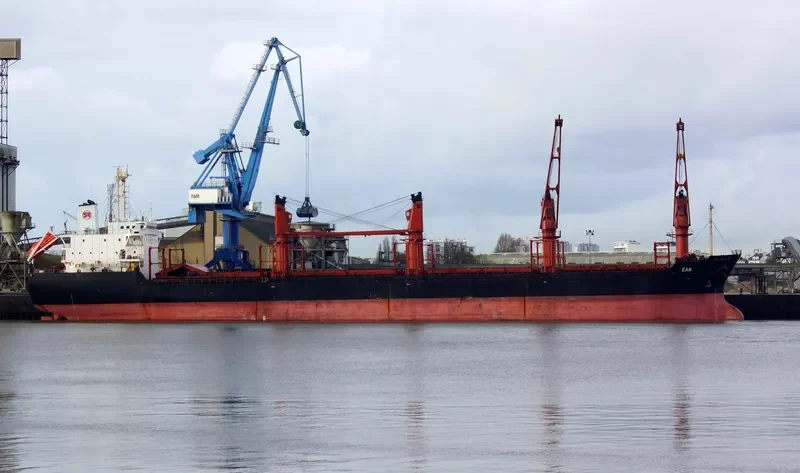 LENIENT Bulk Carrier IMO 9119074 photo 5