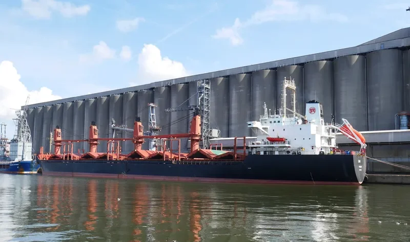 LENIENT Bulk Carrier IMO 9119074 photo 7