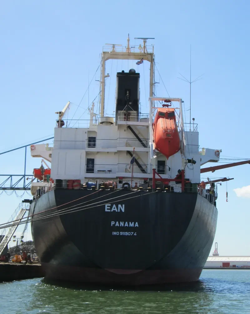 LENIENT Bulk Carrier IMO 9119074 photo 8