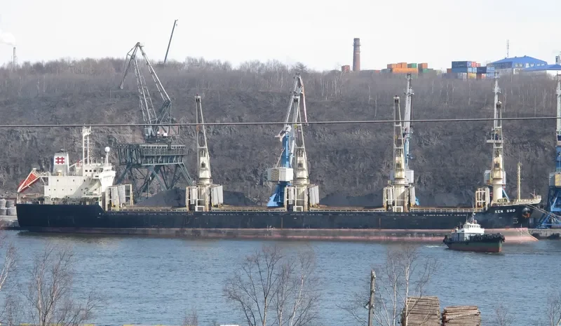 BEST HARMONY Bulk Carrier IMO 9119086 photo 3