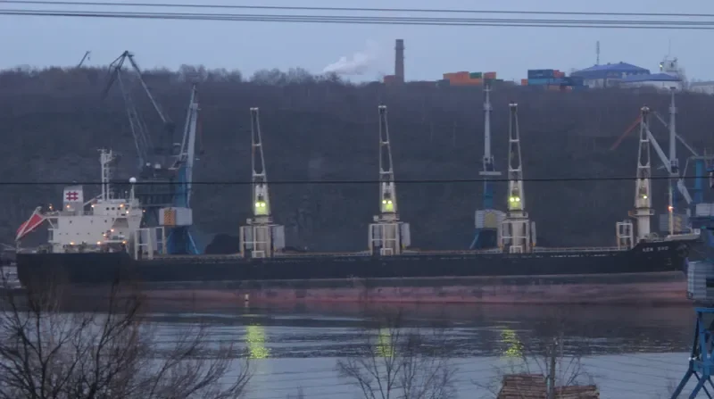 BEST HARMONY Bulk Carrier IMO 9119086 photo 4