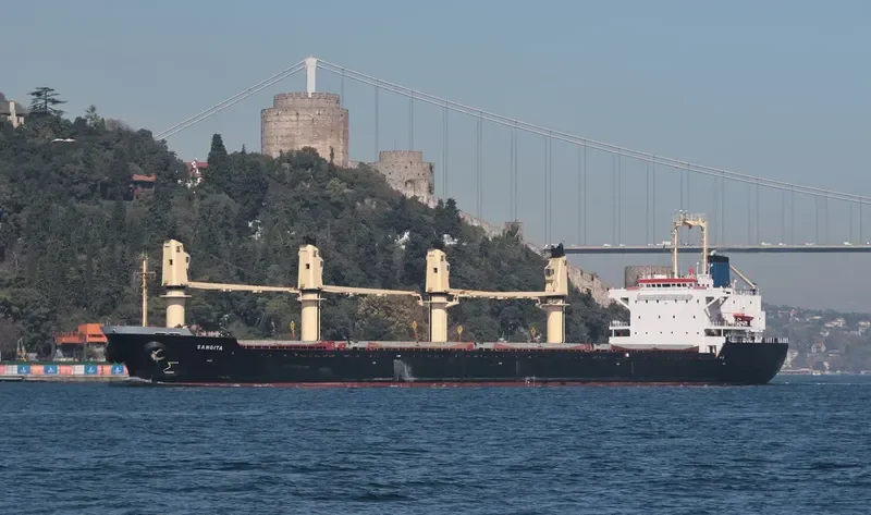 BEST HARMONY Bulk Carrier IMO 9119086 photo 6