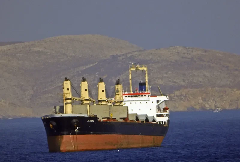 BEST HARMONY Bulk Carrier IMO 9119086 photo 7