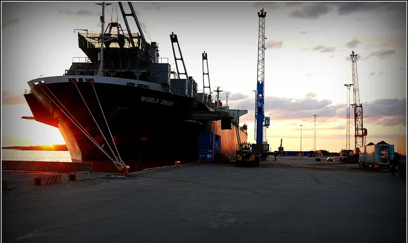 WORLD SWAN Bulk Carrier IMO 9119098 photo 2