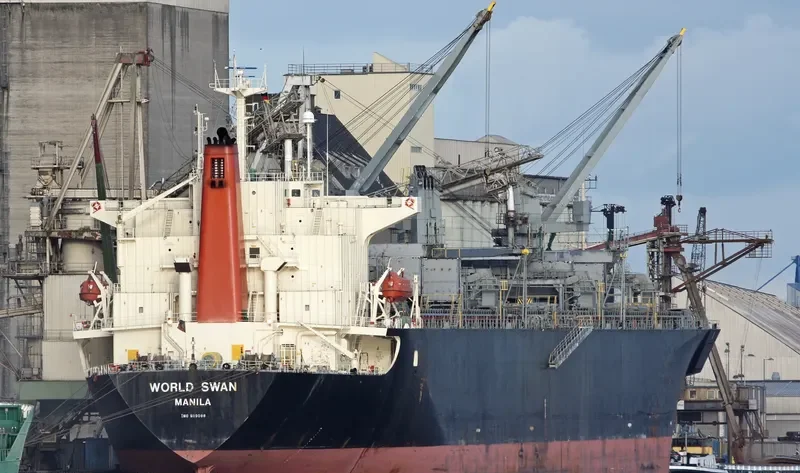 WORLD SWAN Bulk Carrier IMO 9119098 photo 3
