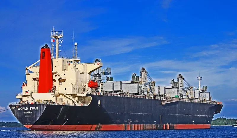 WORLD SWAN Bulk Carrier IMO 9119098 photo 4