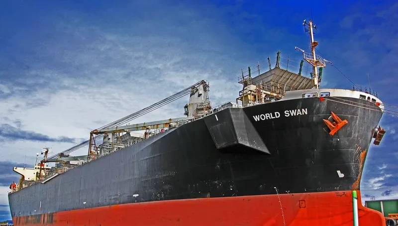 WORLD SWAN Bulk Carrier IMO 9119098 photo 5
