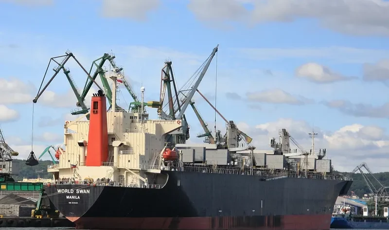 WORLD SWAN Bulk Carrier IMO 9119098 photo 8