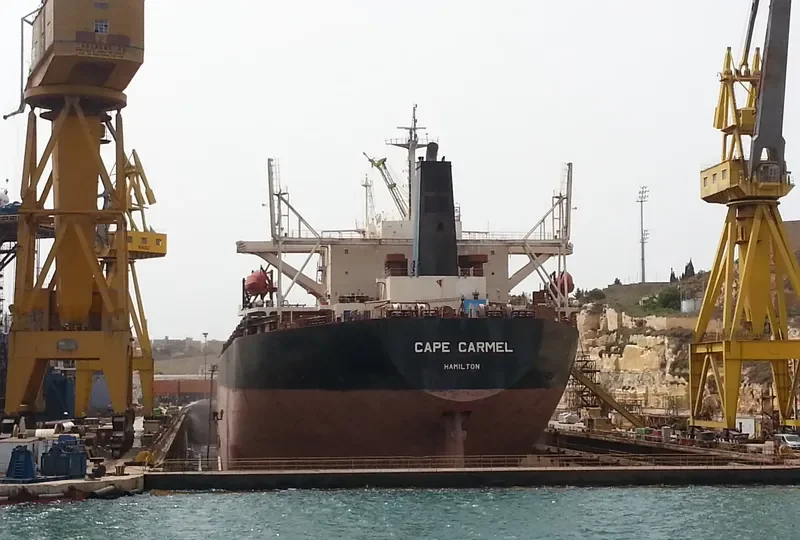CAPE CARMEL Bulk Carrier IMO 9119139 photo 2