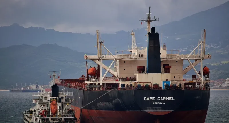 CAPE CARMEL Bulk Carrier IMO 9119139 photo 3