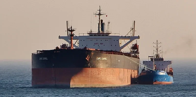 CAPE CARMEL Bulk Carrier IMO 9119139 photo 5