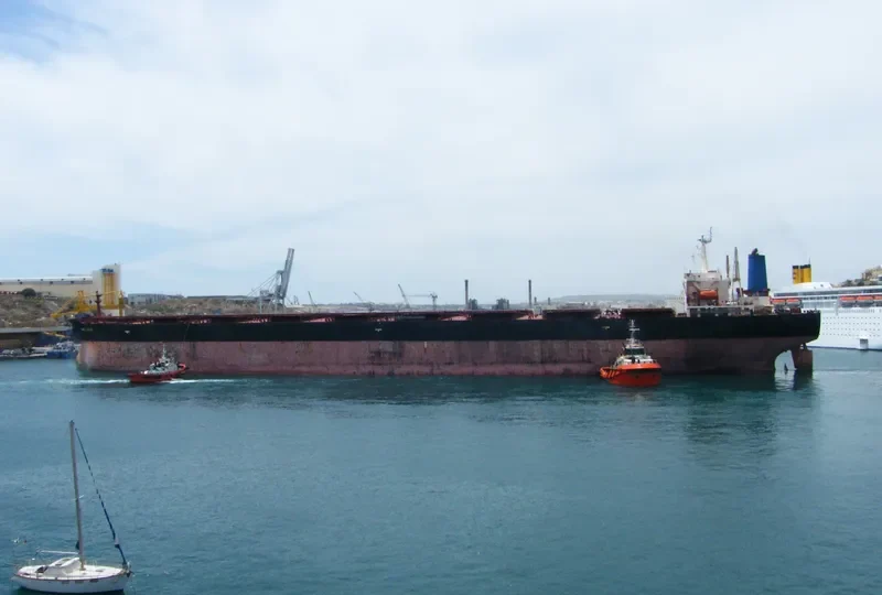 CAPE CARMEL Bulk Carrier IMO 9119139 photo 10