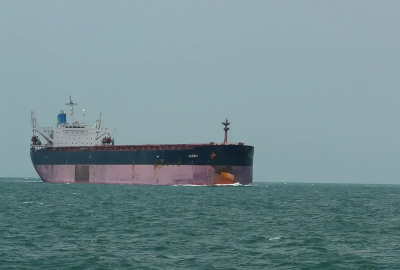 QUORN Bulk Carrier IMO 9119141 photo 2