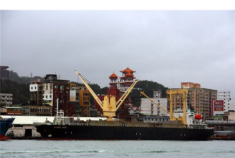 STEP FORWARD General Cargo IMO 9119153 photo 3