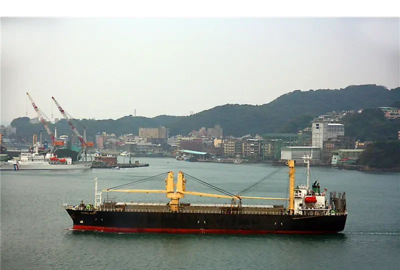 STEP FORWARD General Cargo IMO 9119153 photo 4