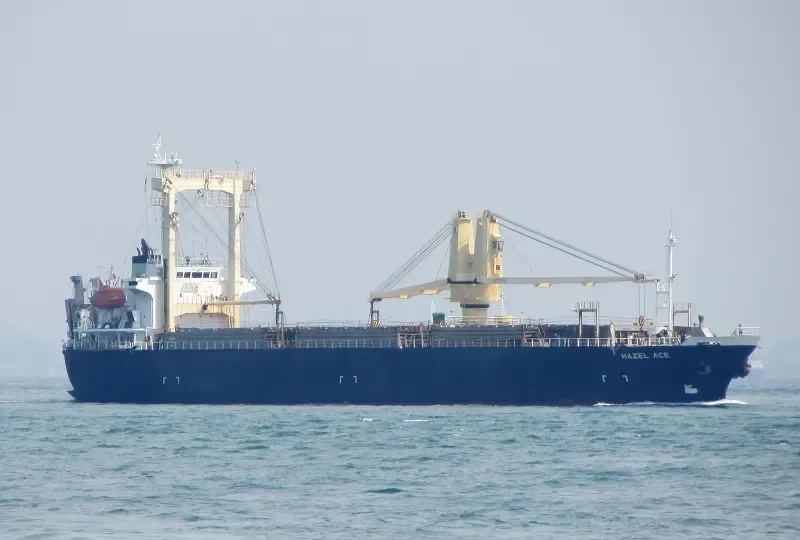 STEP FORWARD General Cargo IMO 9119153 photo 5
