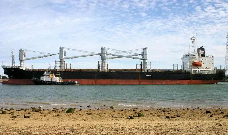 GOLDEN BAY Bulk Carrier IMO 9119189 photo 2
