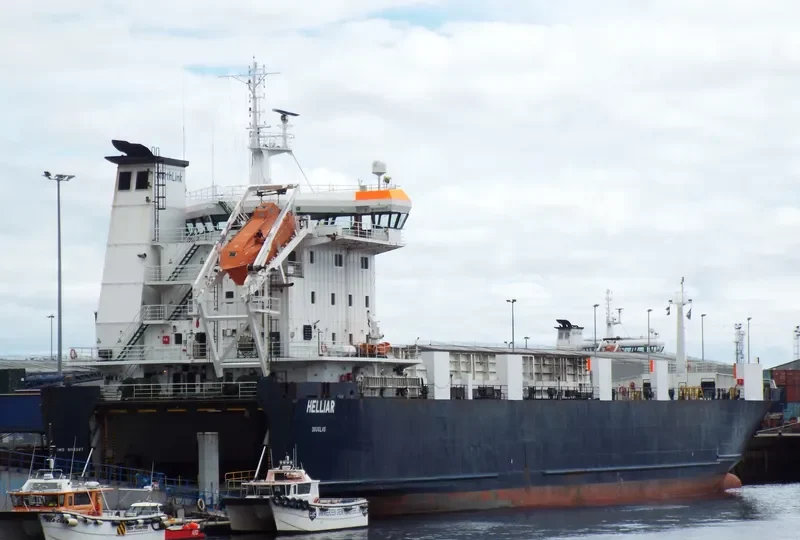 HELLIAR Ro-Ro IMO 9119397 photo 6