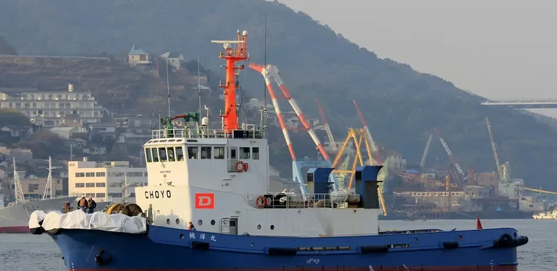 CHOYO MARU General Cargo IMO 9119842