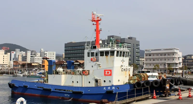 CHOYO MARU General Cargo IMO 9119842 photo 3