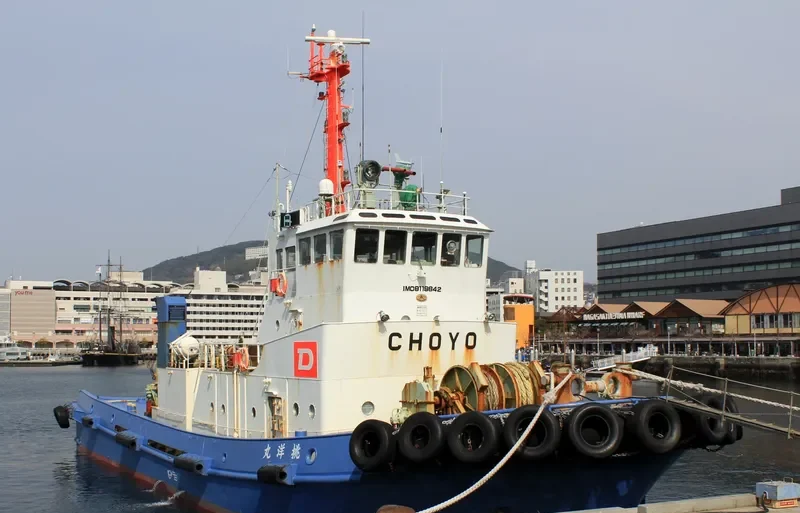 CHOYO MARU General Cargo IMO 9119842 photo 4