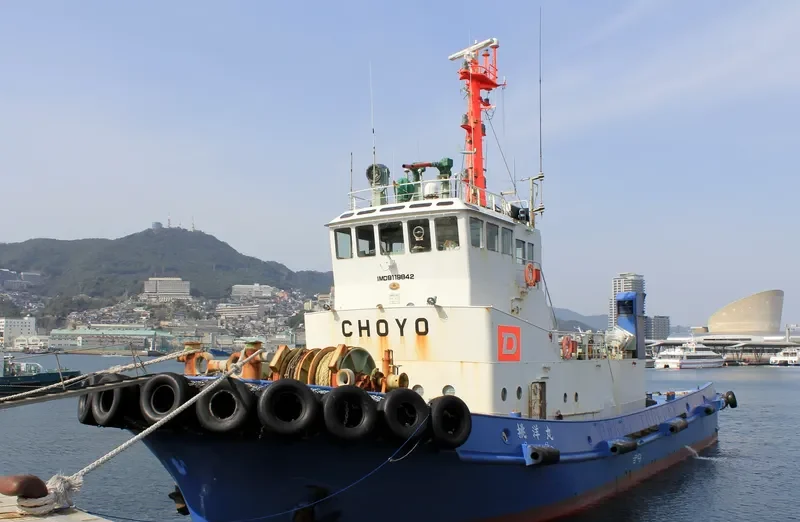 CHOYO MARU General Cargo IMO 9119842 photo 5
