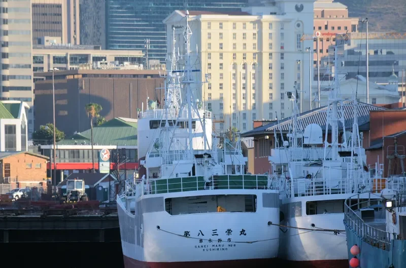 SANEI MARU NO.8 General Cargo IMO 9119957