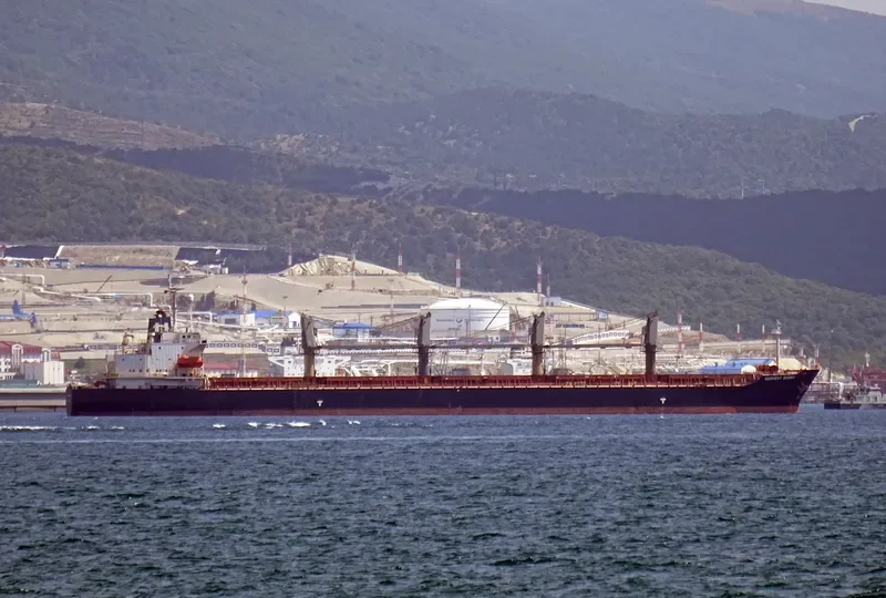 FU HAI Bulk Carrier IMO 9119995 photo 5