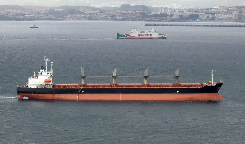 FU HAI Bulk Carrier IMO 9119995 photo 8