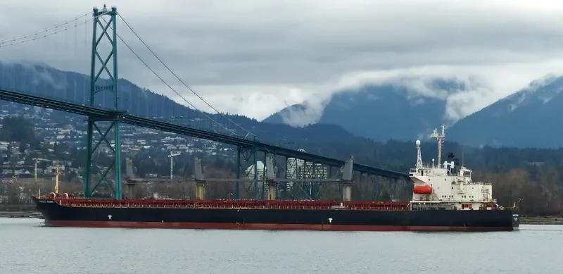 FU HAI Bulk Carrier IMO 9119995 photo 9