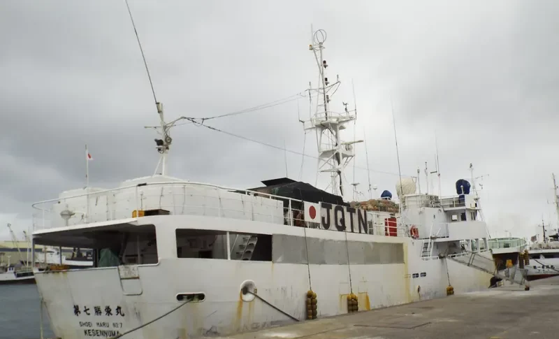SHOEI MARU NO.7 General Cargo IMO 9120023