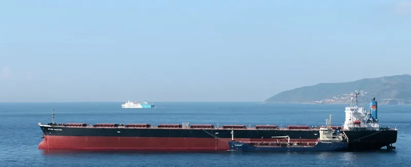 SILVER MASTER Bulk Carrier IMO 9120035 photo 7