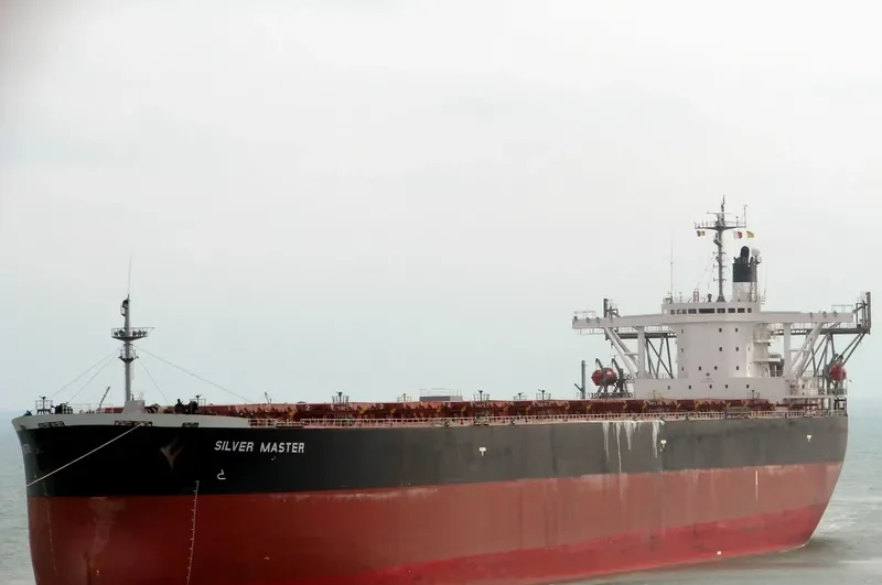 SILVER MASTER Bulk Carrier IMO 9120035 photo 8