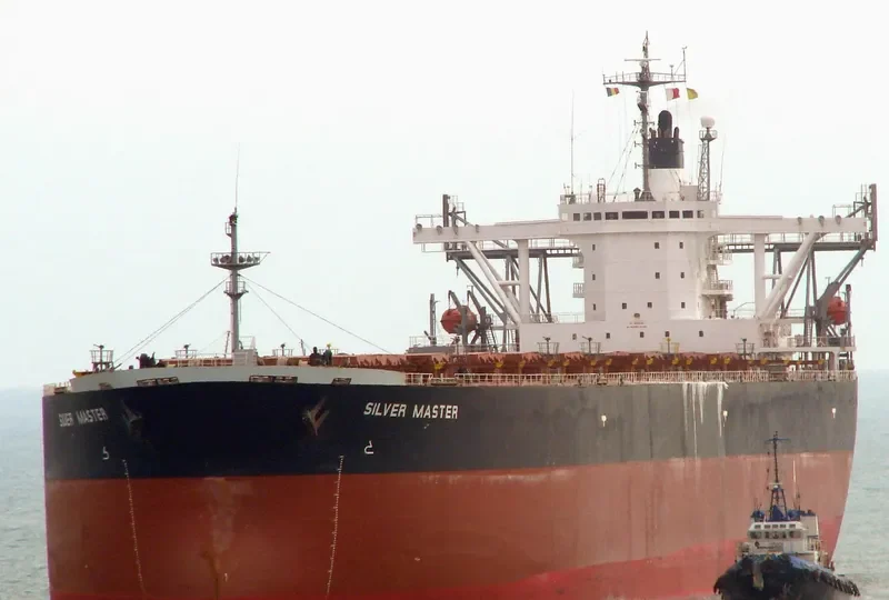 SILVER MASTER Bulk Carrier IMO 9120035 photo 9
