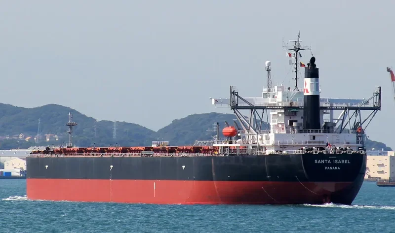 SILVER MASTER Bulk Carrier IMO 9120035 photo 10