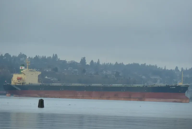 HONG MERIT Bulk Carrier IMO 9120059 photo 4