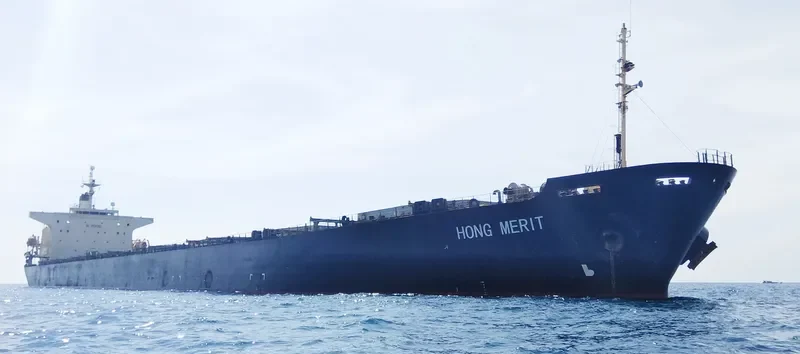 HONG MERIT Bulk Carrier IMO 9120059 photo 7