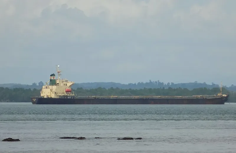 HONG MERIT Bulk Carrier IMO 9120059 photo 9