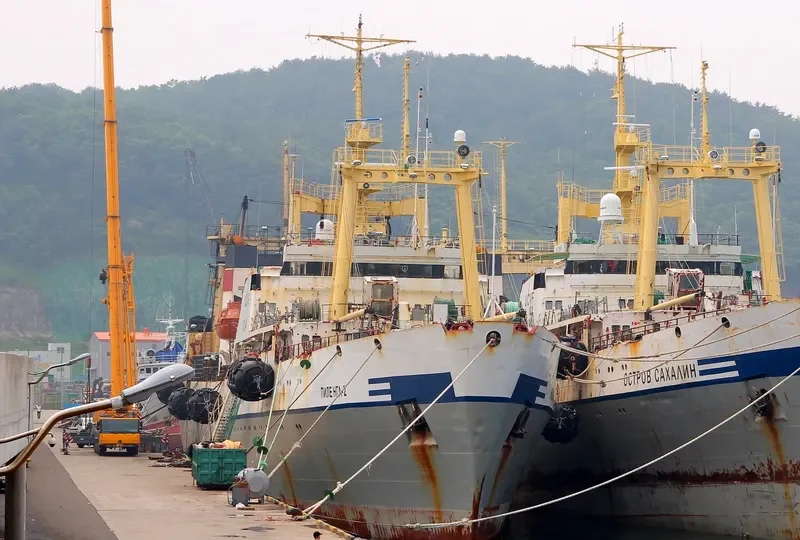 PILENGA 2 General Cargo IMO 9120310