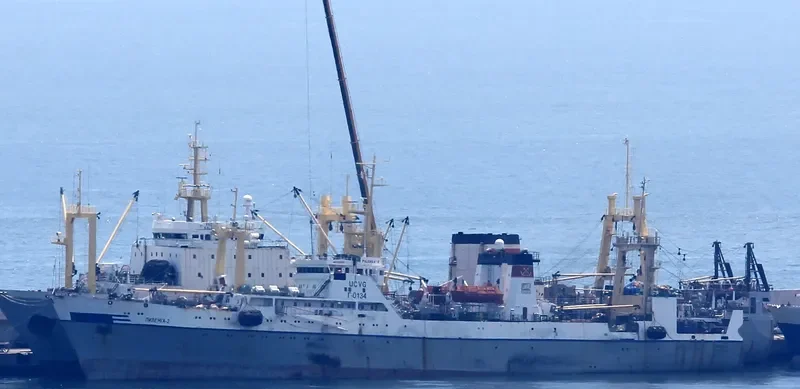 PILENGA 2 General Cargo IMO 9120310 photo 2