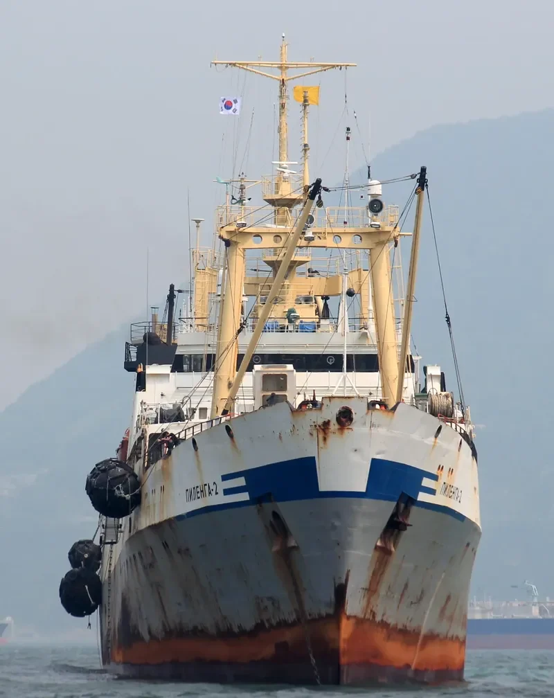 PILENGA 2 General Cargo IMO 9120310 photo 4