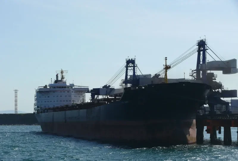 SCF SUEK Bulk Carrier IMO 9120322 photo 2