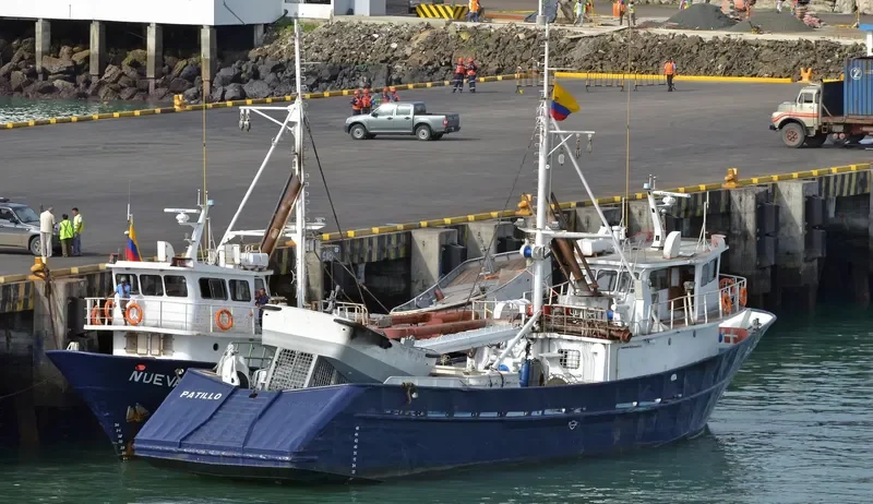 PATILLO General Cargo IMO 9120530