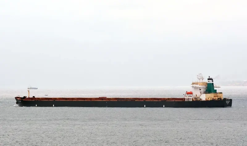 ORE MOATIZE Bulk Carrier IMO 9120803 photo 3