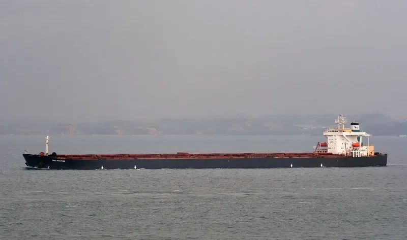 ORE MOATIZE Bulk Carrier IMO 9120803 photo 4