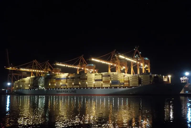 MSC FIE Container Ship IMO 9120853 photo 5