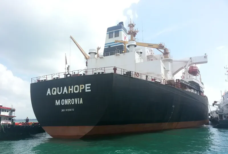 AQUAHOPE Bulk Carrier IMO 9120970 photo 2