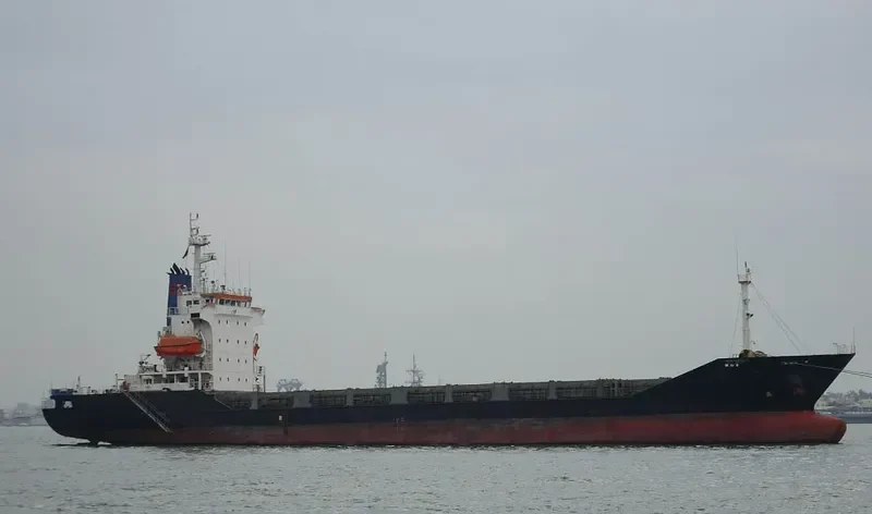 HAI HONG 1 Container Ship IMO 9121039