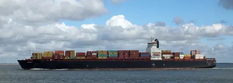 DIMITRIS Y Container Ship IMO 9121247 photo 3
